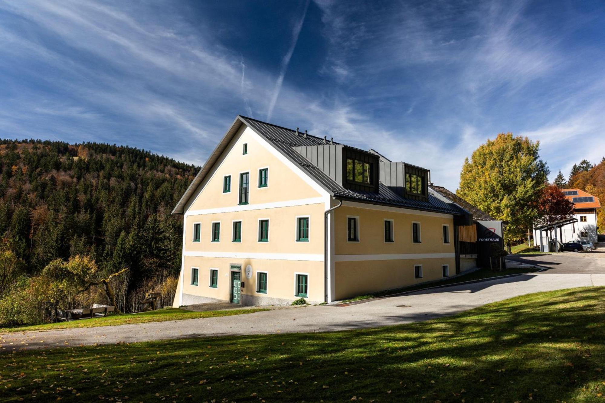 Forsthaus Apartments - Ski + Bike & Hike Klaffer am Hochficht Εξωτερικό φωτογραφία